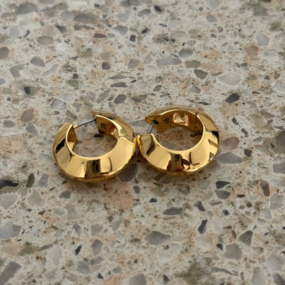 Jenny Bird Wide Hinged Hoop Earrings - Picture 5 of 8